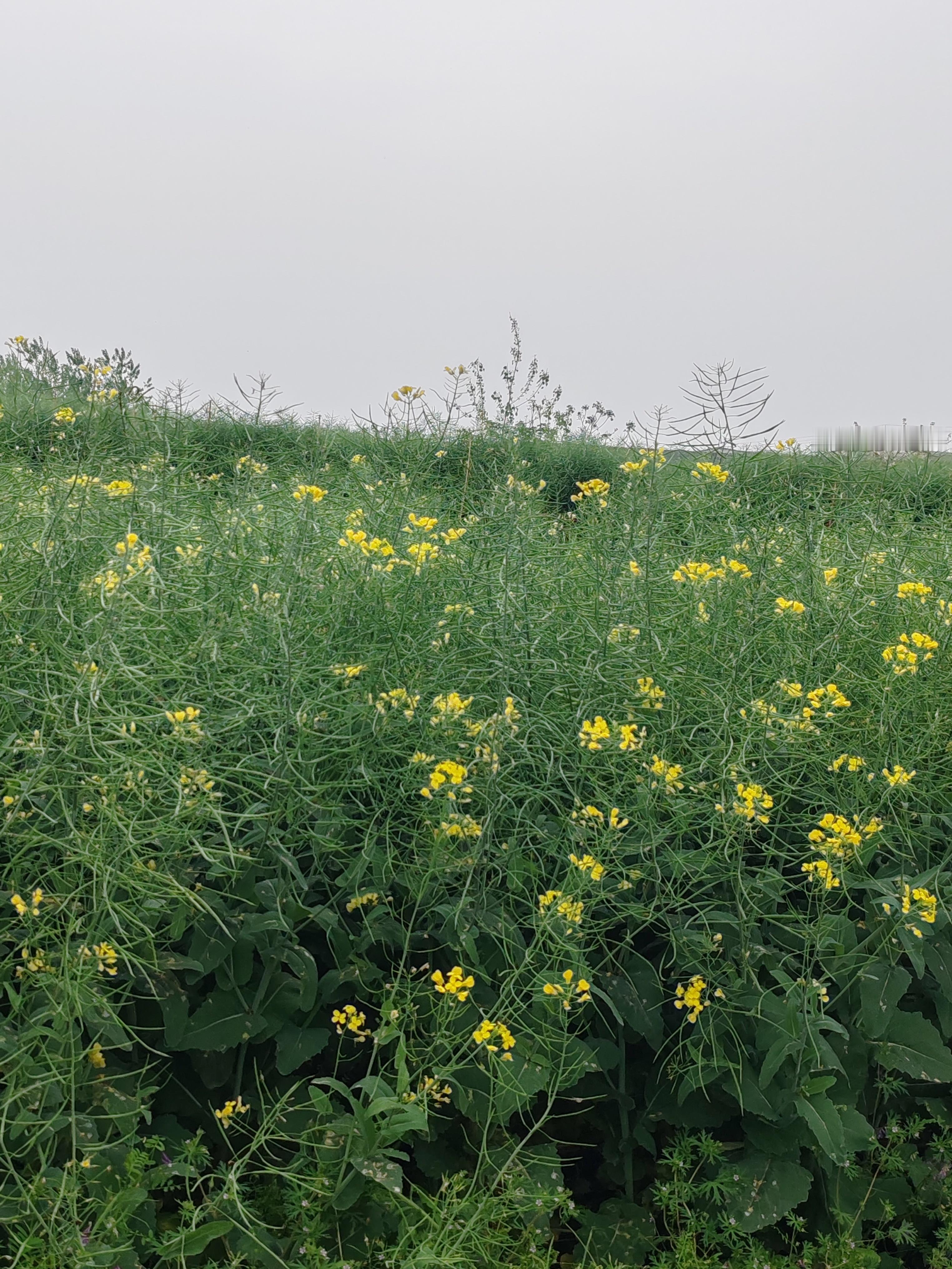 这部剧是迪丽热巴近期备受关注的都市奇幻迷你剧，改编自直木奖获奖小说《蓝，另一种蓝