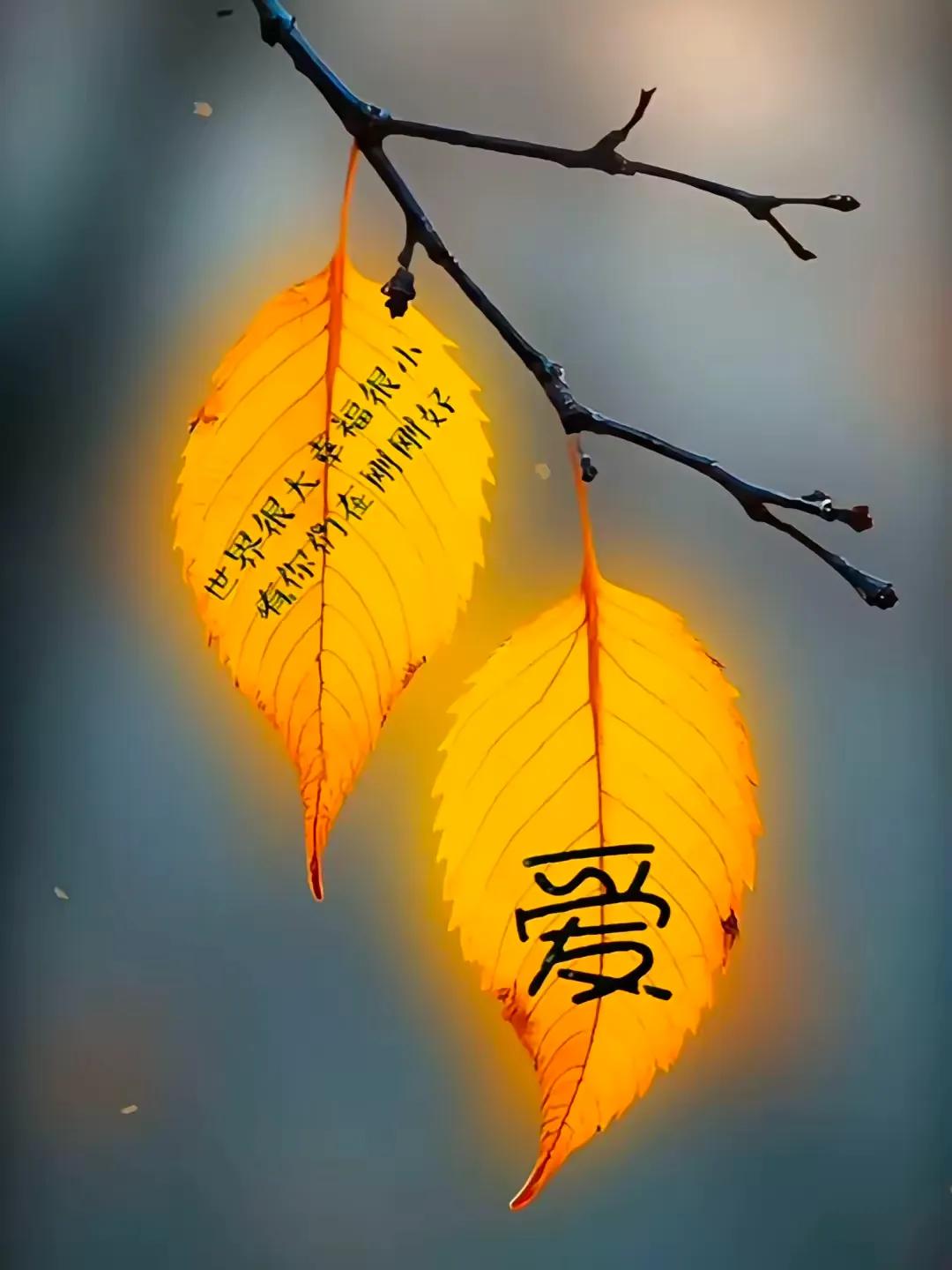 🍃

能征服人心的，
永远不是小聪明，而是厚道!

能感动人心的，
永远不是语