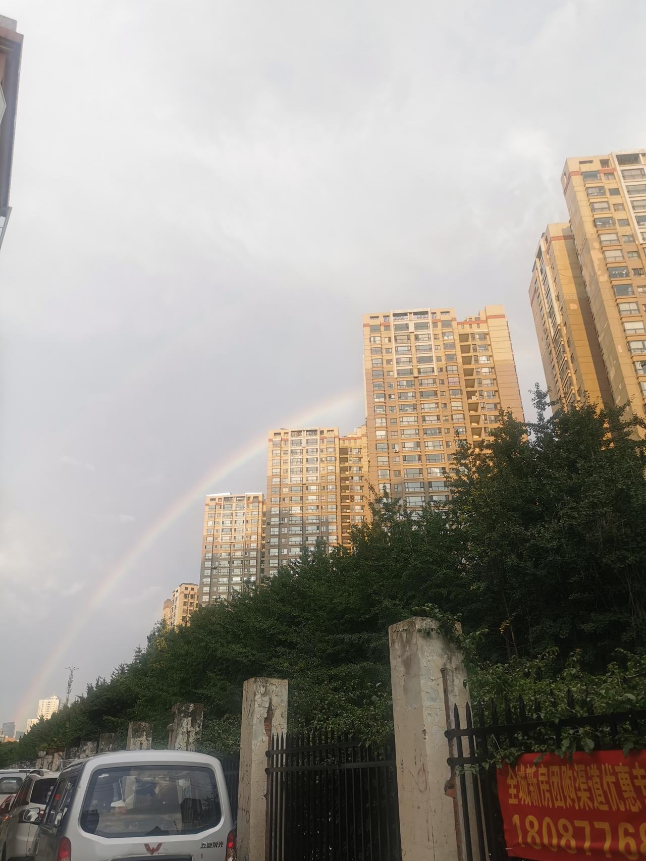 今天早上到单位有点早，干保洁的大姐早早就开始清理垃圾。
我在洗茶杯，和我聊了几句