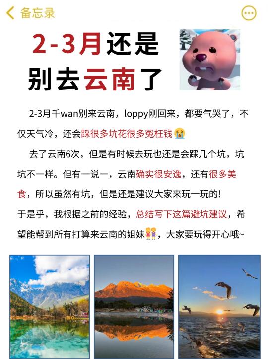 刚从云南回来｜📣2-3月去云南旅游的，避雷❗