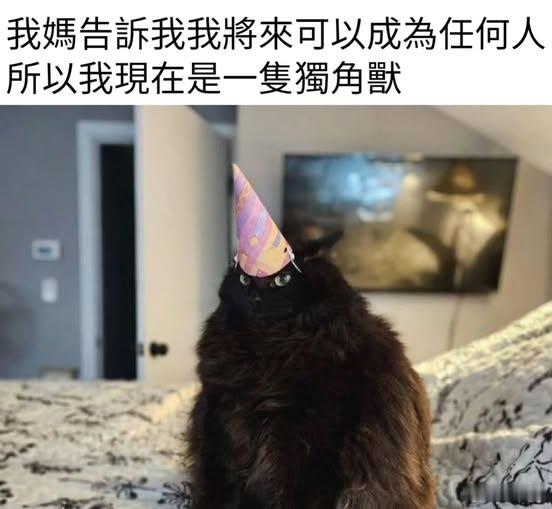 就活一次勇敢做自己💪memes迷译图