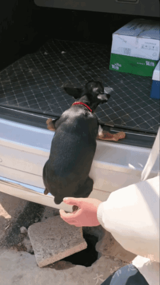 看我的笑话？
你们还是人吗？