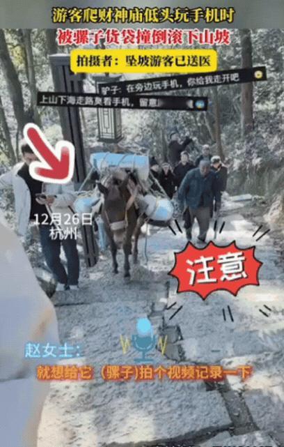 “解释不清了！”杭州一男子爬财神庙，低头玩手机时，被骡子货袋撞了下，结果，男子直