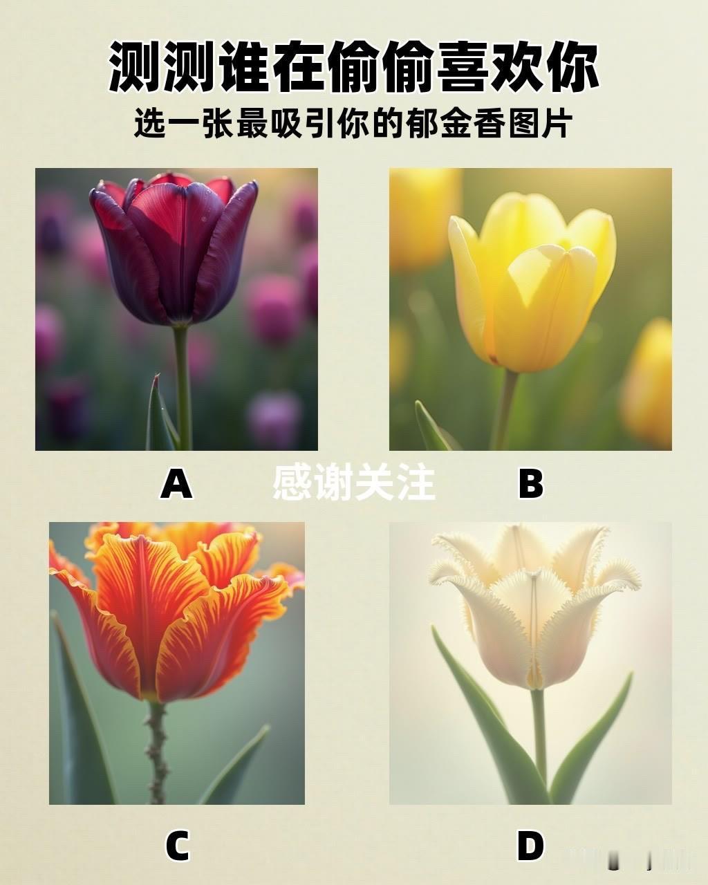 电车新三大件看好智己汽车测测谁在偷偷喜欢你选一张最吸引你的郁金香图片