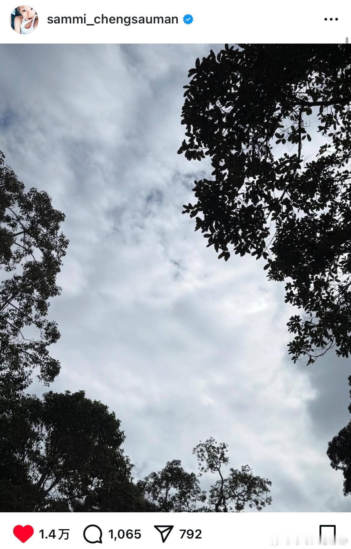 郑秀文被一些人网暴质疑她没有捐款，本想默默为遇难者做事，逼得人家还要发文澄清。2