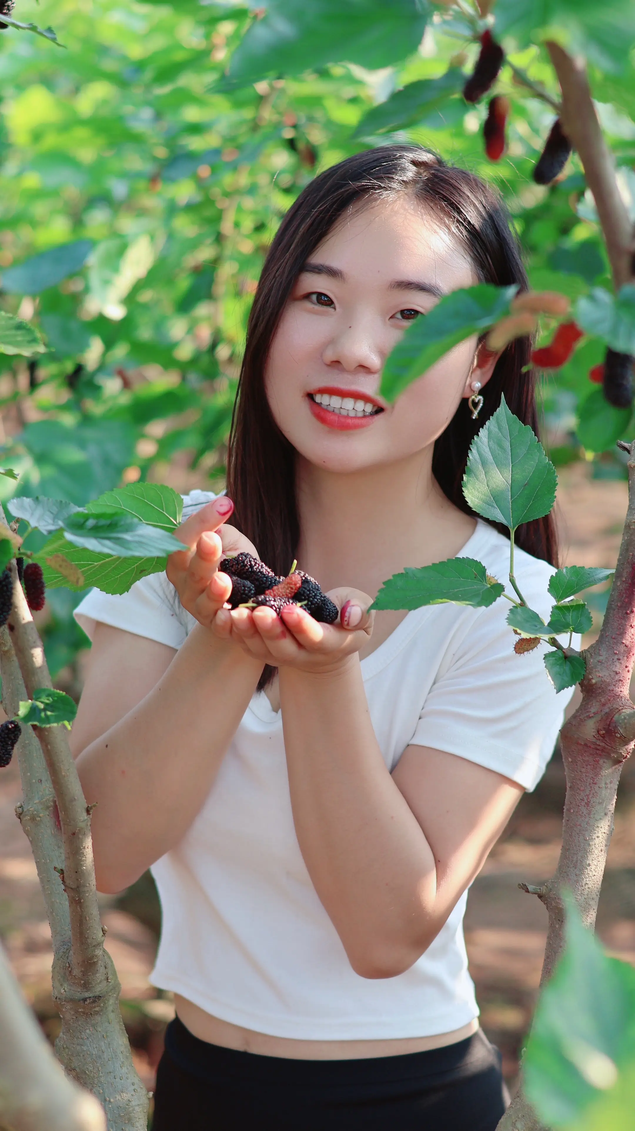 竹子空心才坚韧 ，人心放空才从容！ 给偶遇的免费摄影师点赞👍