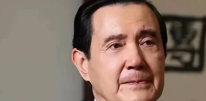 马家人这回真的出手了，马英九基金会内部的裂纹已深到盖不住！就在今天，李德维直言重