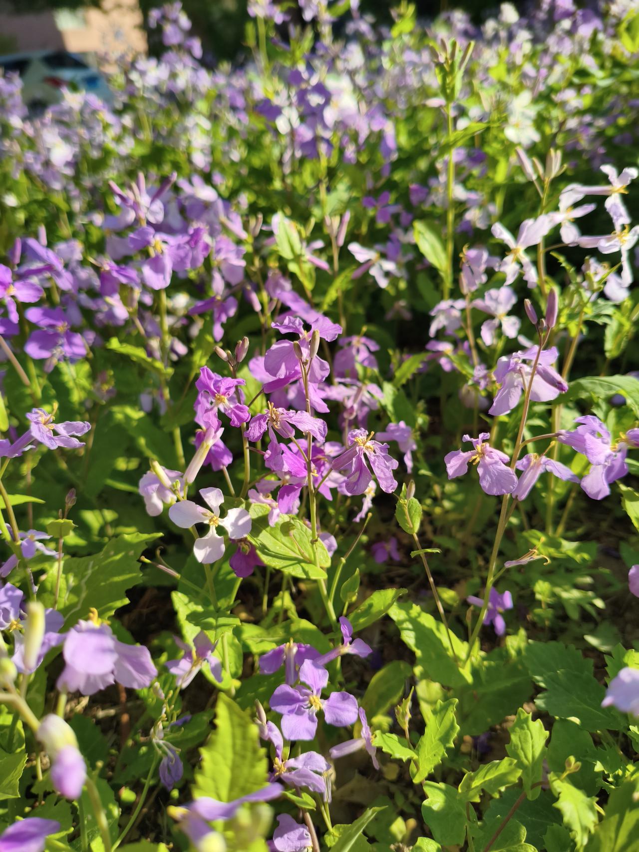 📣沈阳春假第二天实况！（4.29）
沈阳中小学春假正式启动（4.28-30），