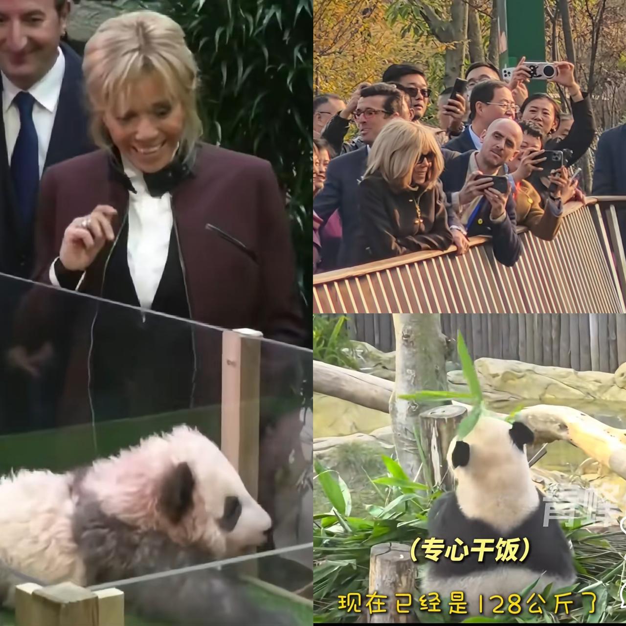 终于理解马克龙为什么会爱上比他大35岁的布丽吉特了！

不是因为布丽吉特家境好，