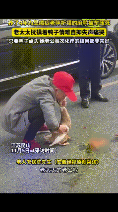 看哭了！江苏一老奶奶养了4年的麻鸭被车撞死了，老奶奶当场抱着麻鸭放声痛哭，只因麻