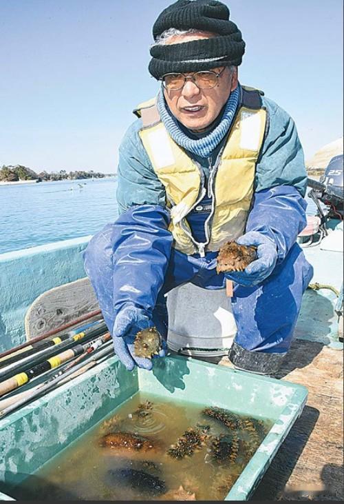 距离日本排放核废水已经半年，现在来看，截止目前最受影响的还是日本的渔民。比如养殖