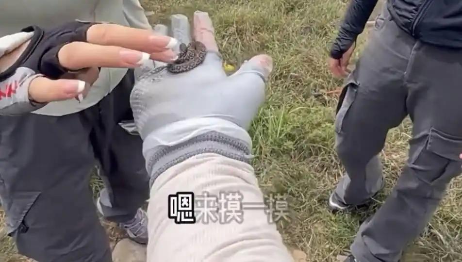 驴友旅游爬山途中，捡到一条短尾腹蛇，抱着好奇心态，大家先后轮流抚摸。无知者无畏呀