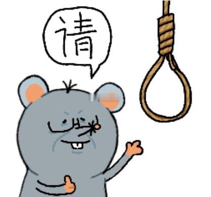 你看这是什么