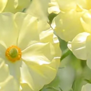 每日一善 每日一善 阳光信用 善中有乐，一路善行；善中有仁，日日善行；善中有孝，