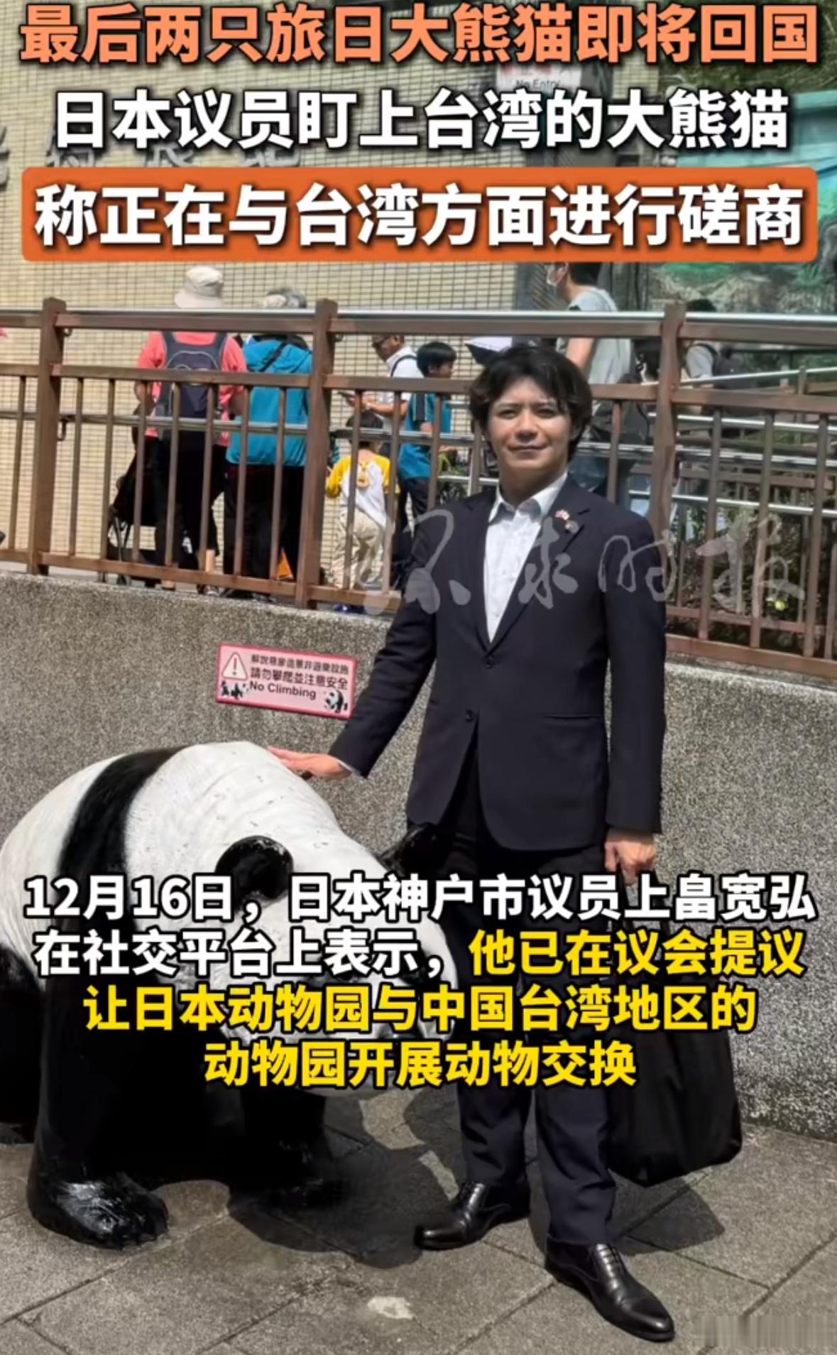 日议员提议去台湾换大熊猫诶？签协议的时候上面没写转让限制嘛？大熊猫对🇯🇵人这