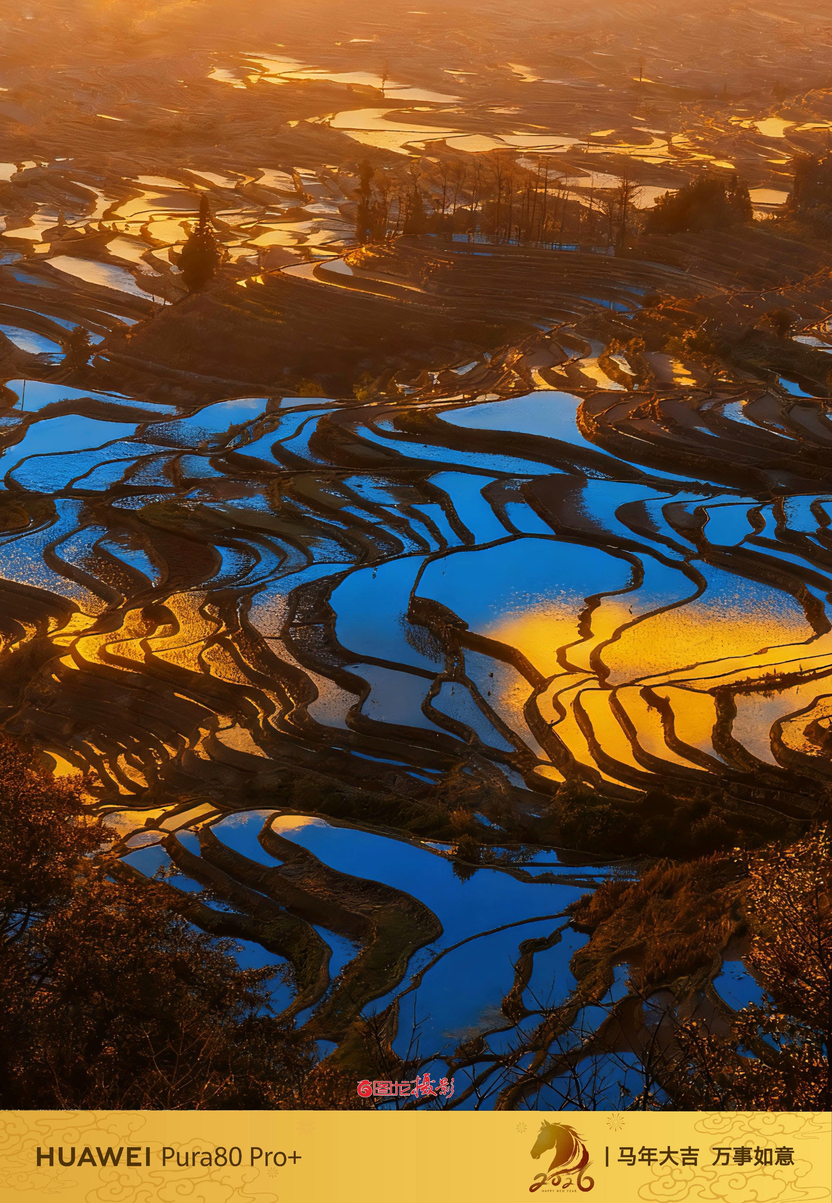 元阳梯田的晨曦，是蓝与金织就的梦境。水田里的光，像撒了一把碎钻，把山野...