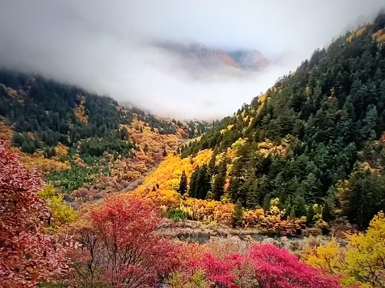 这是什么地方？有认识的吗？告诉我