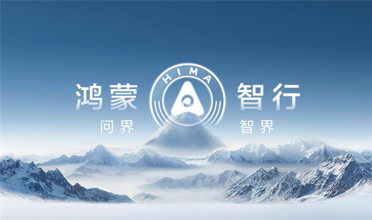 问界计划2024年销售60万台，理想汽车计划2024年销销售80万台

而BBA