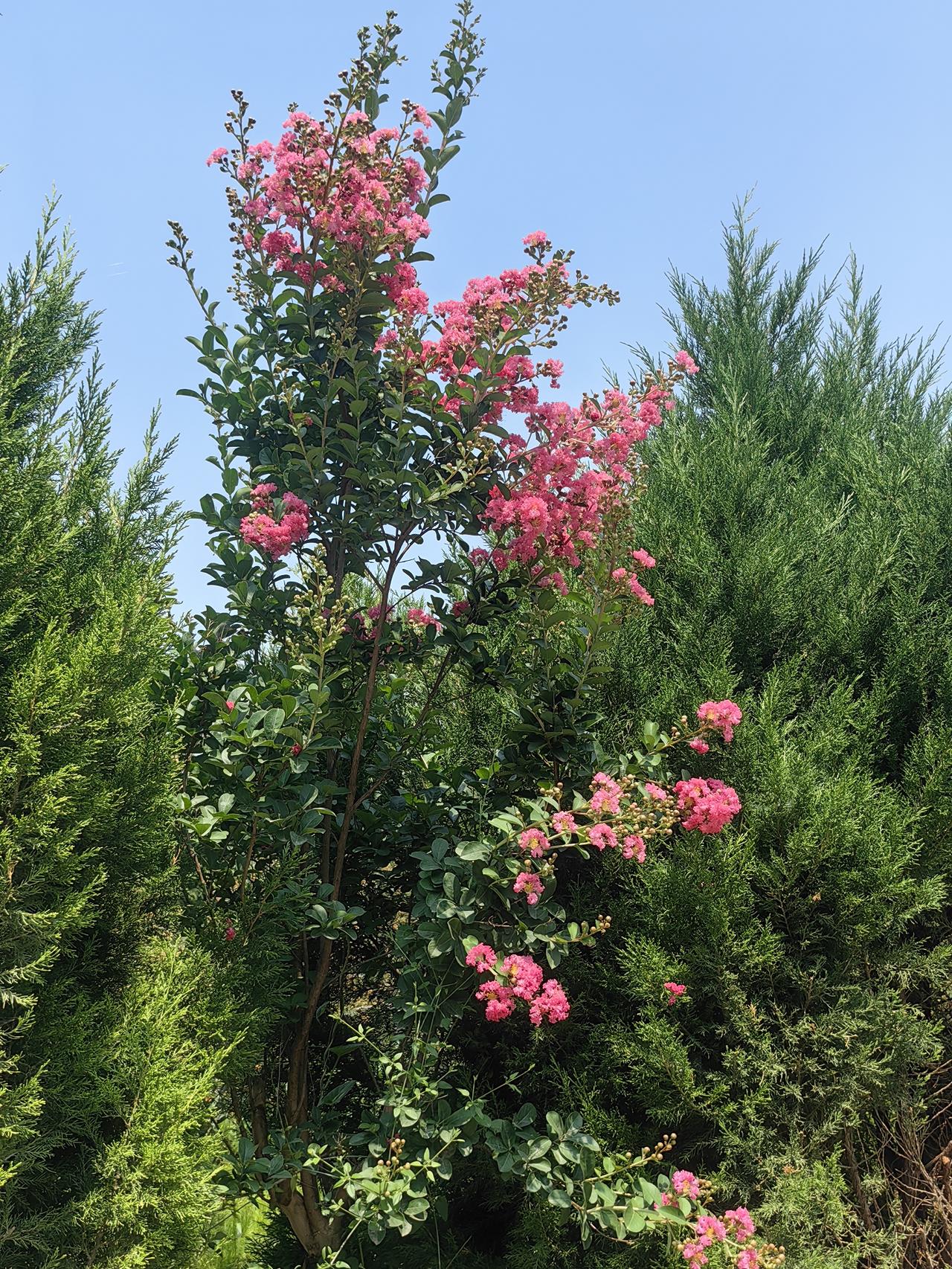 有没有好看的风景图片分享