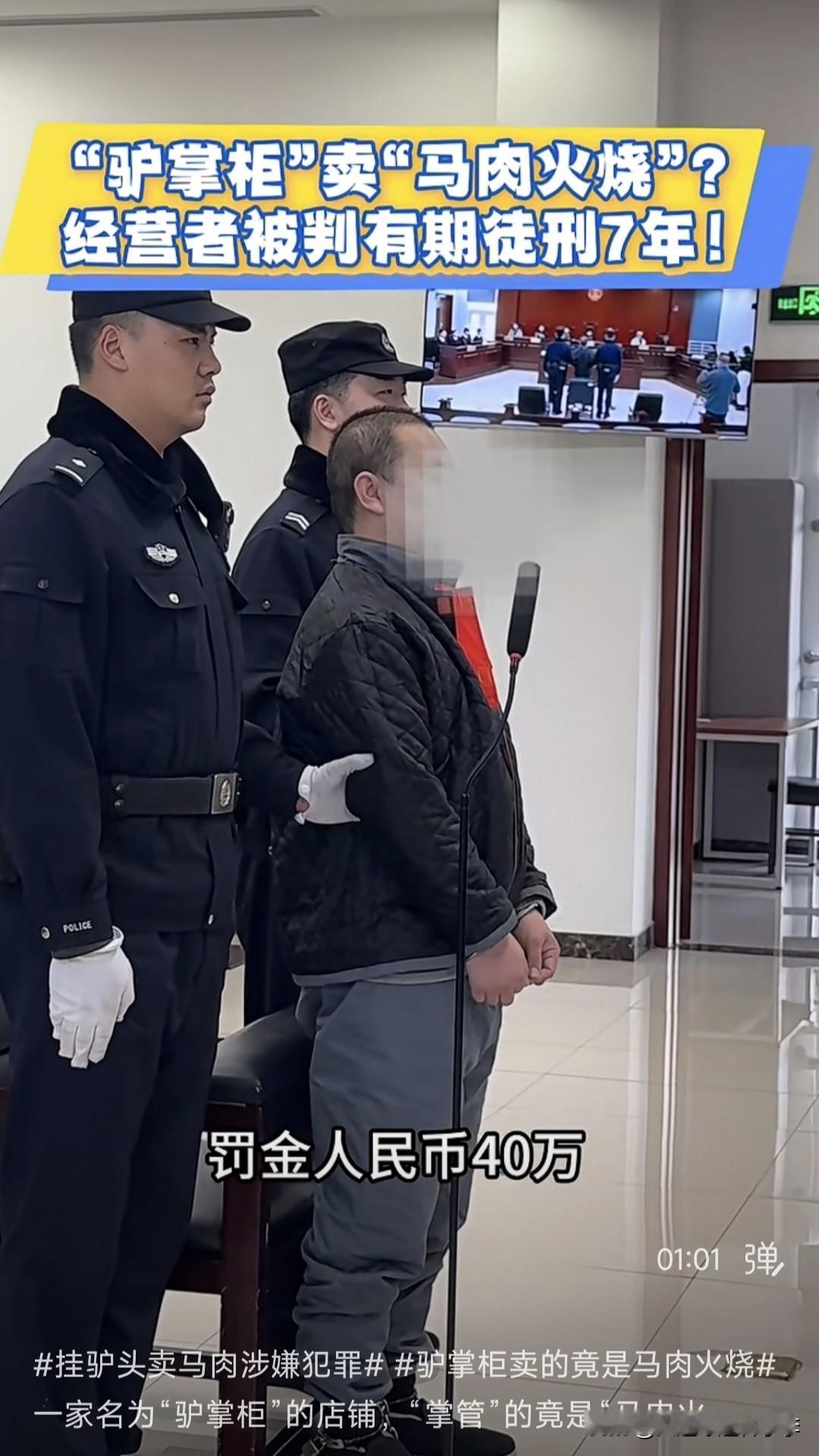 刷到两条造假视频，朝阳区一美食档口用马肉、猪肉代替驴肉卖驴肉火烧，被判7年、罚款