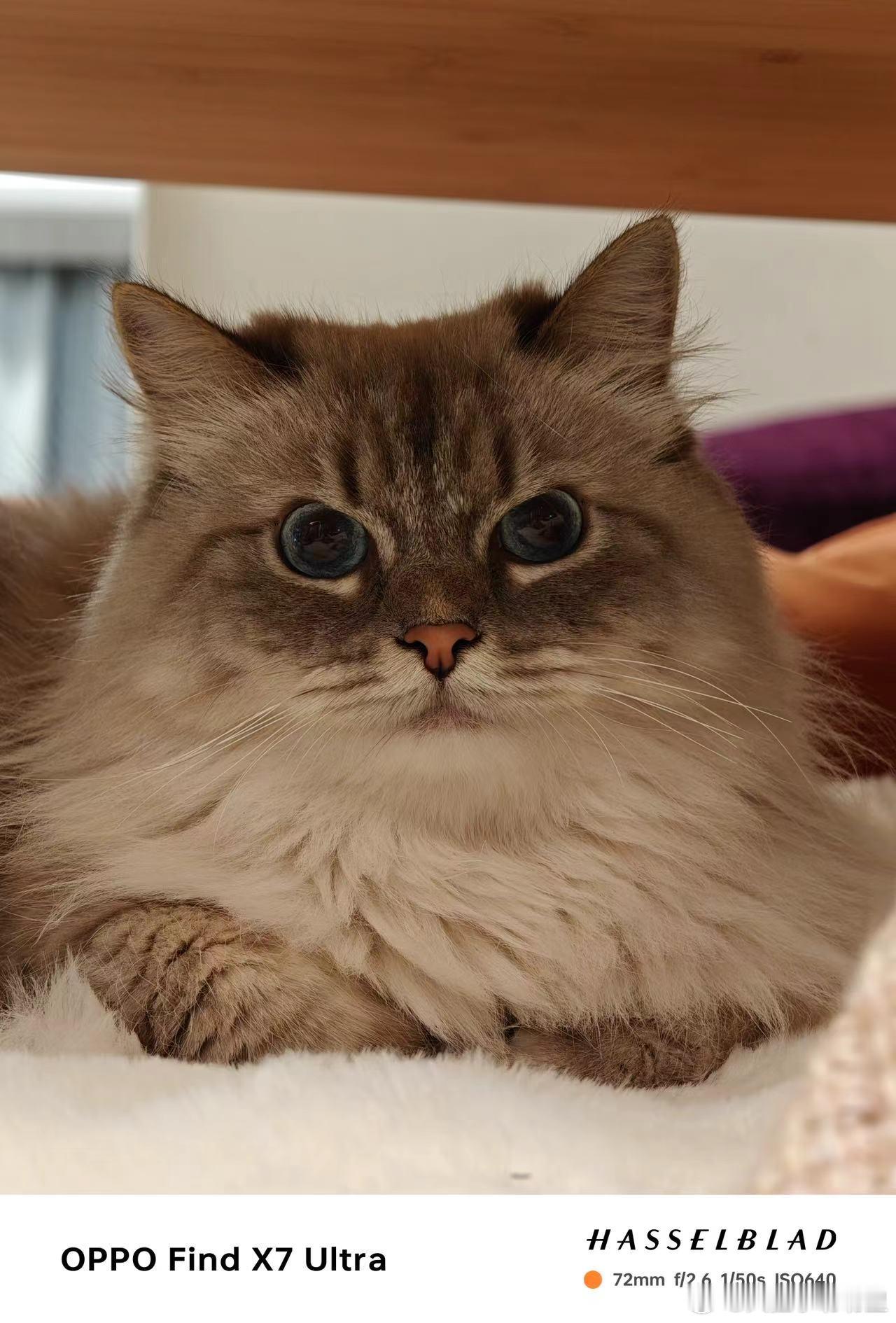 (◦`~´◦) ​​​