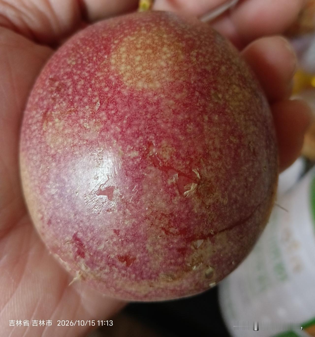巨大的紫皮百香果
前几天去一家超市买排骨，看到他家的百香果卖9.90元一斤，是那