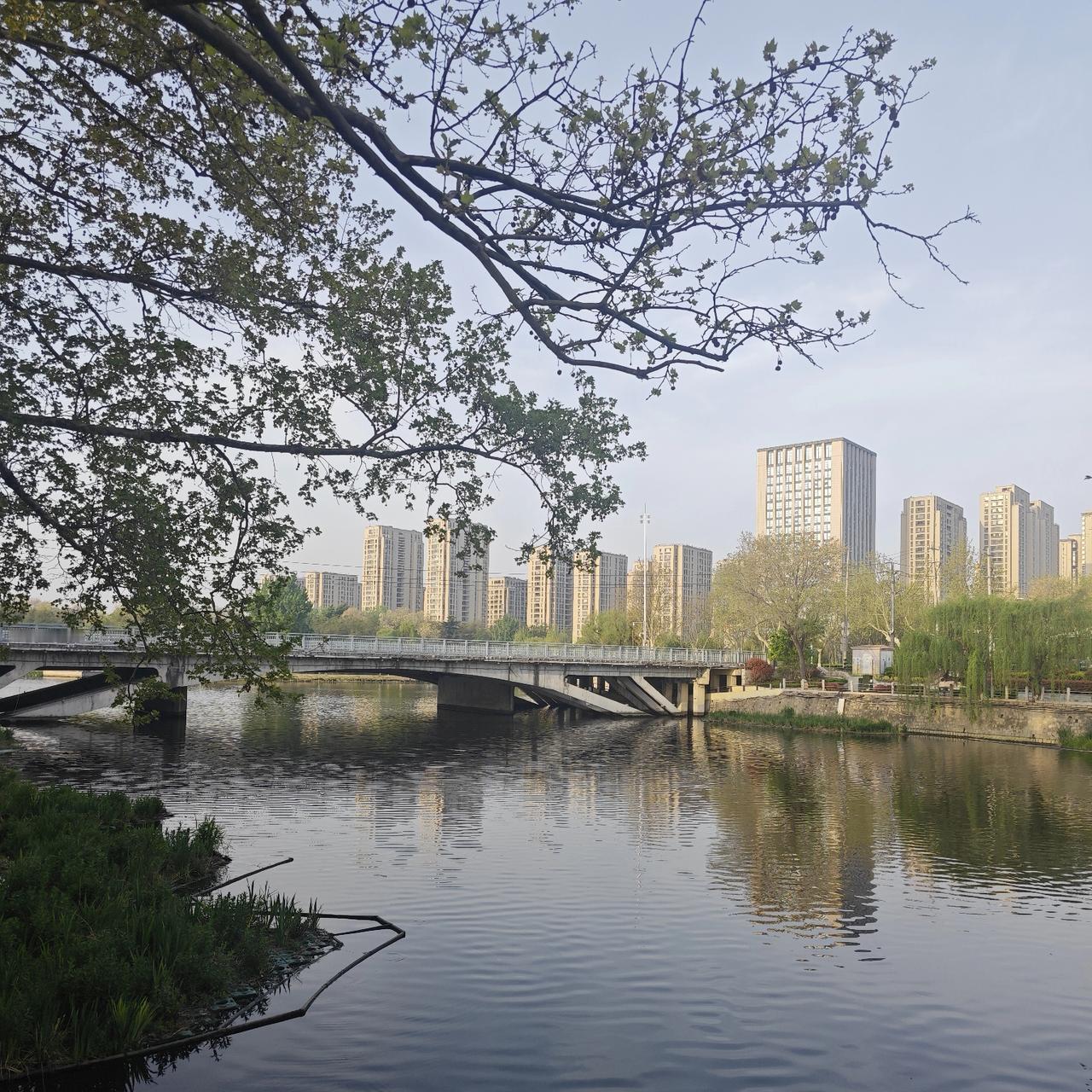 这七天的时间里，每一天都是在和眼药水打交道。
四种眼药水，从早起到临睡前，一天要