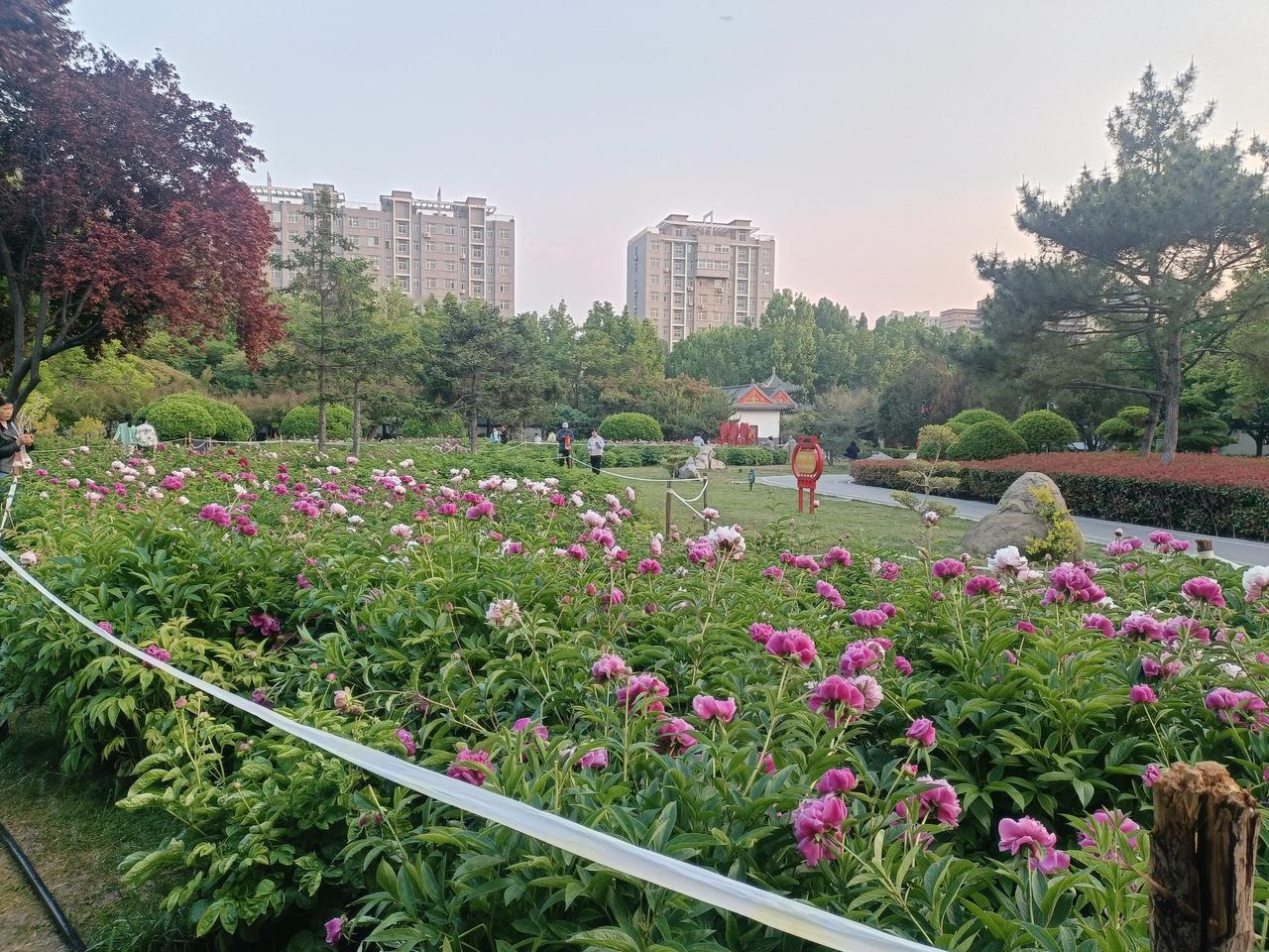 今天跟粉丝讲了个故事，
以前的拳痴，为了修炼功夫，
都和老婆分床睡，
很多都因此
