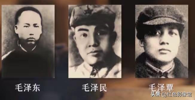 这是韶山毛氏三兄弟：毛泽东、毛泽民、毛泽覃，一家兄弟三人舍小家为国家，满门投身革