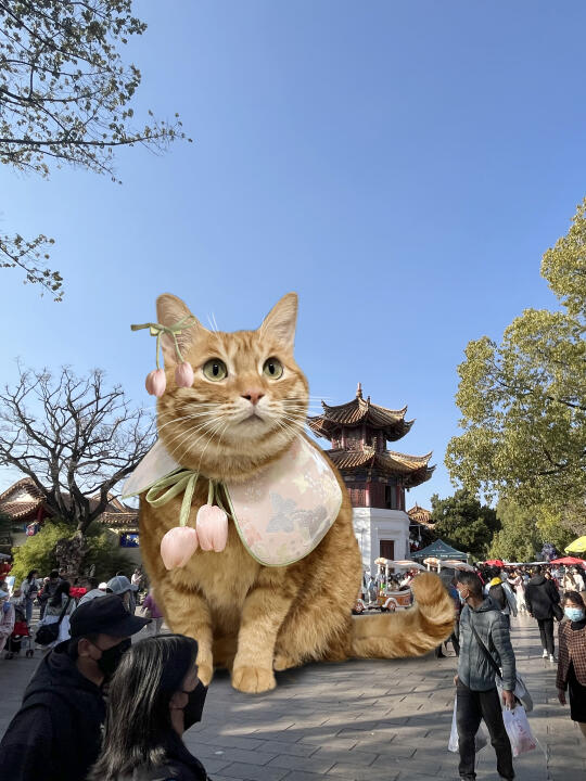 今天是明媚大海🌸