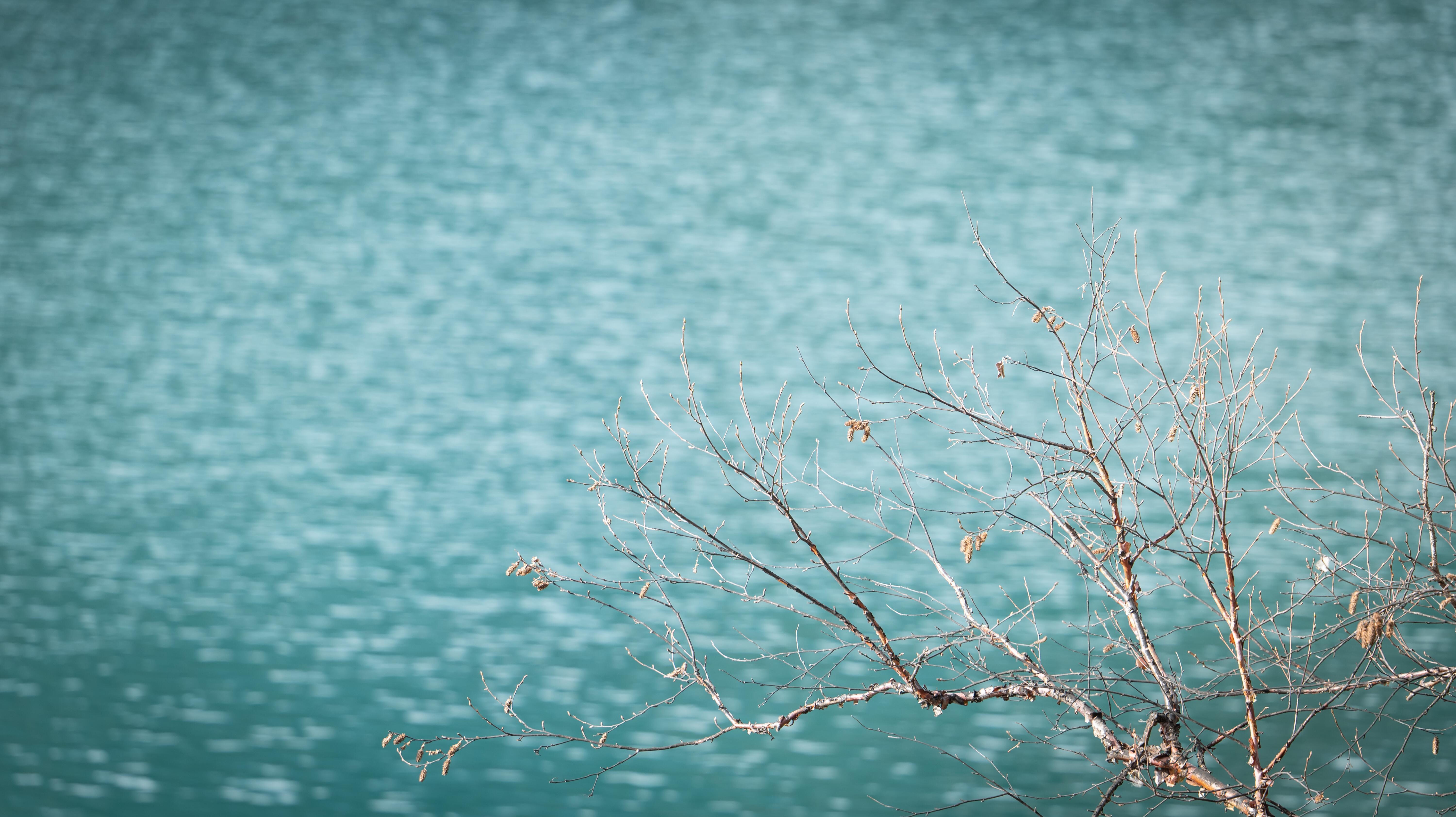 九寨归来不看水，绝了！🌿初遇心动瞬间❄️ 结冰的湖面像打翻的薄荷汽水，阳光洒下