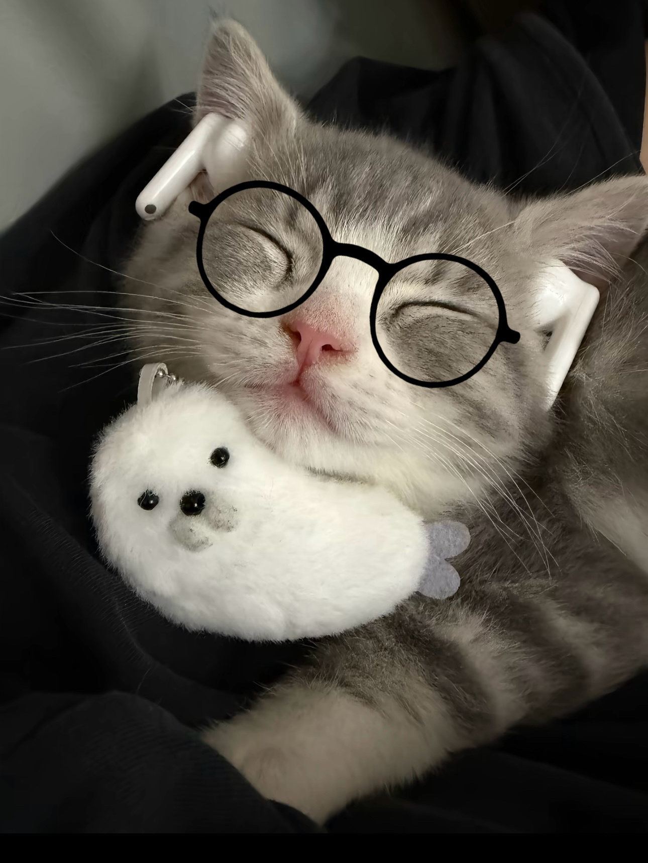 王继续 