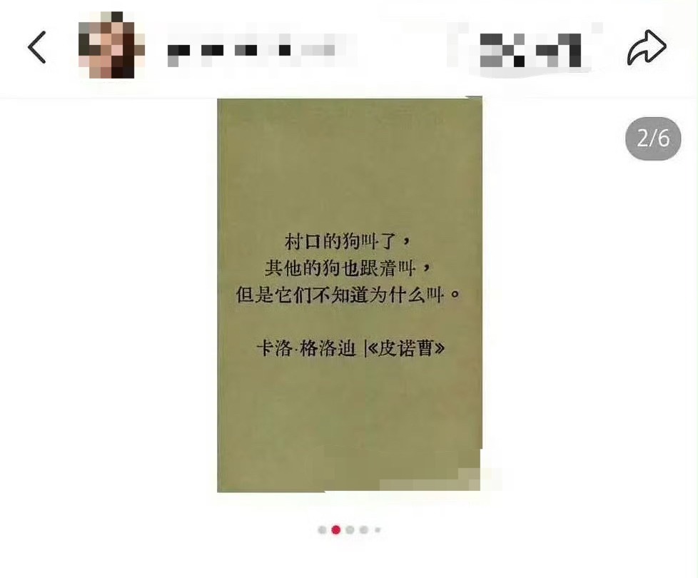 若若在内涵谁哈哈哈哈哈 给你分享一个成语叫【石砸狗叫】没文化就别硬凹了 网是哪儿