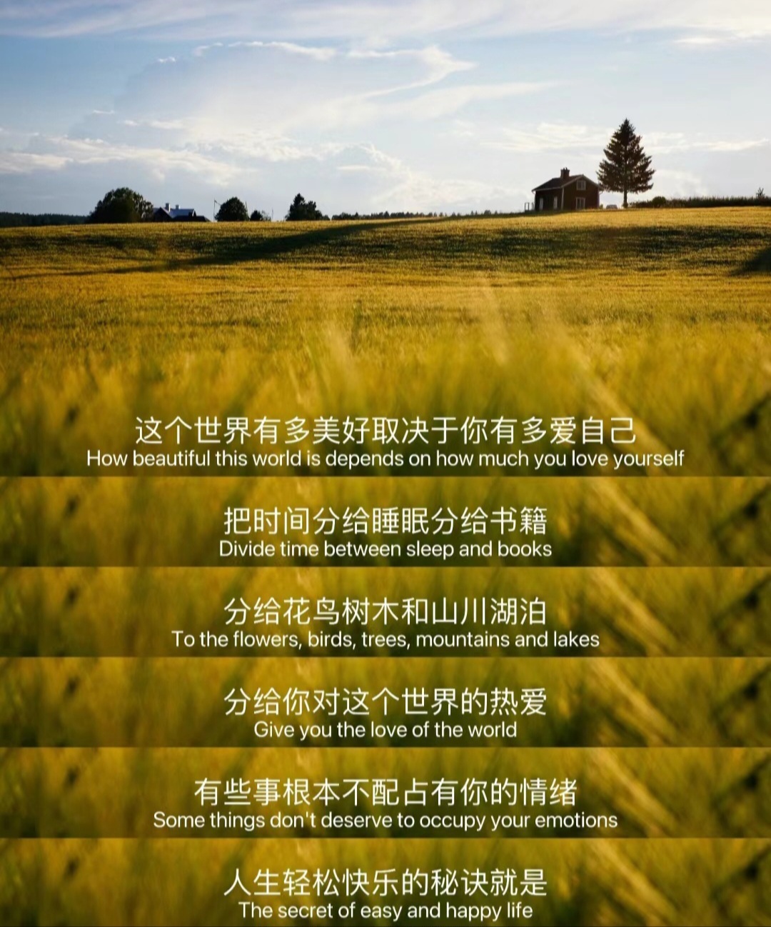 爱自己是一切浪漫的开始。 ​​​