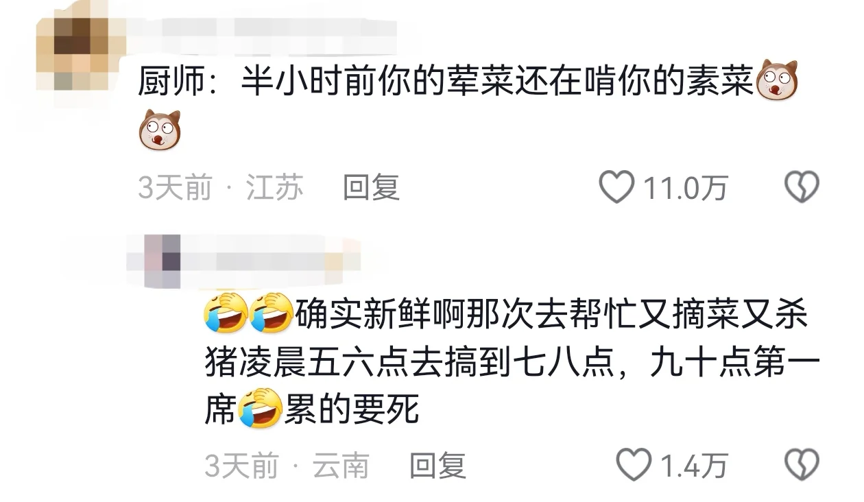 啊！一想到农村的酒席口水都止不住！