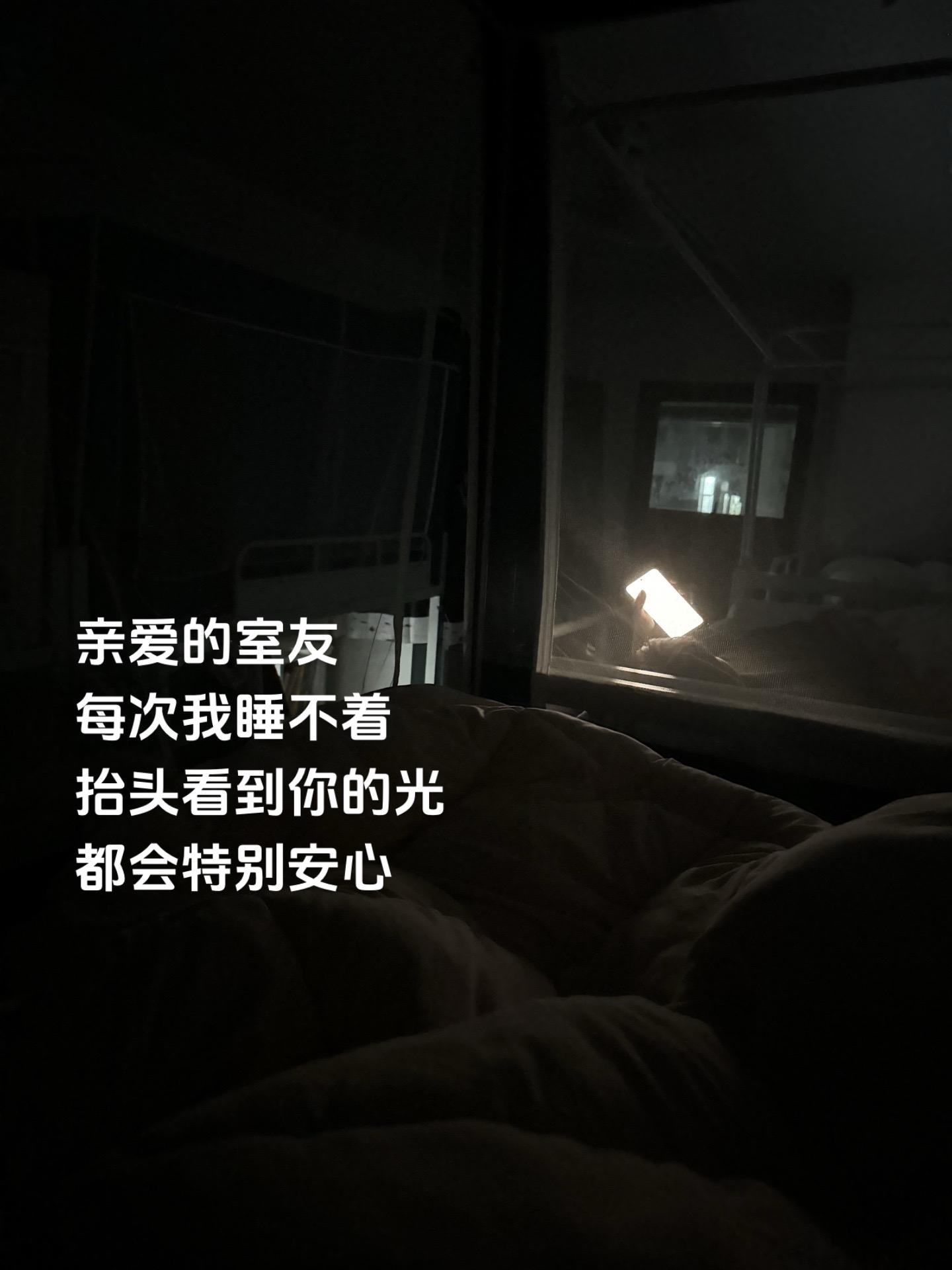 有你安全感十足