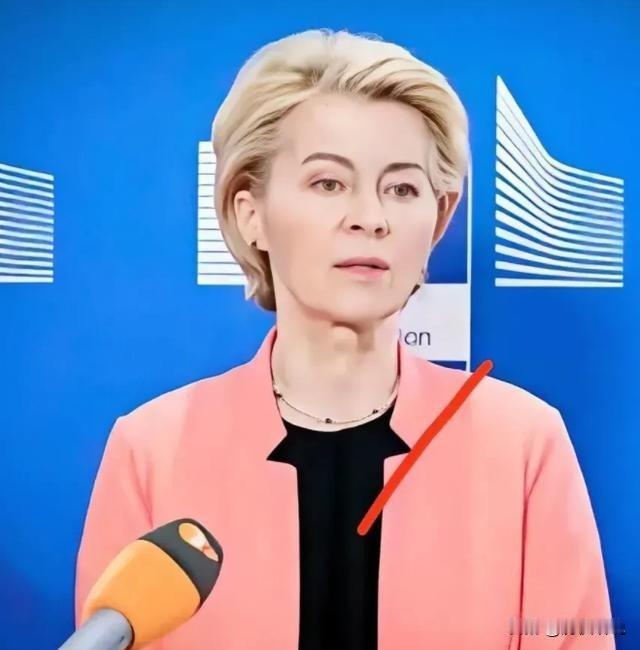 欧盟对华电动车关税大逆转！最低价格机制背后，中国车企用技术杀出重围，特斯拉慌了，