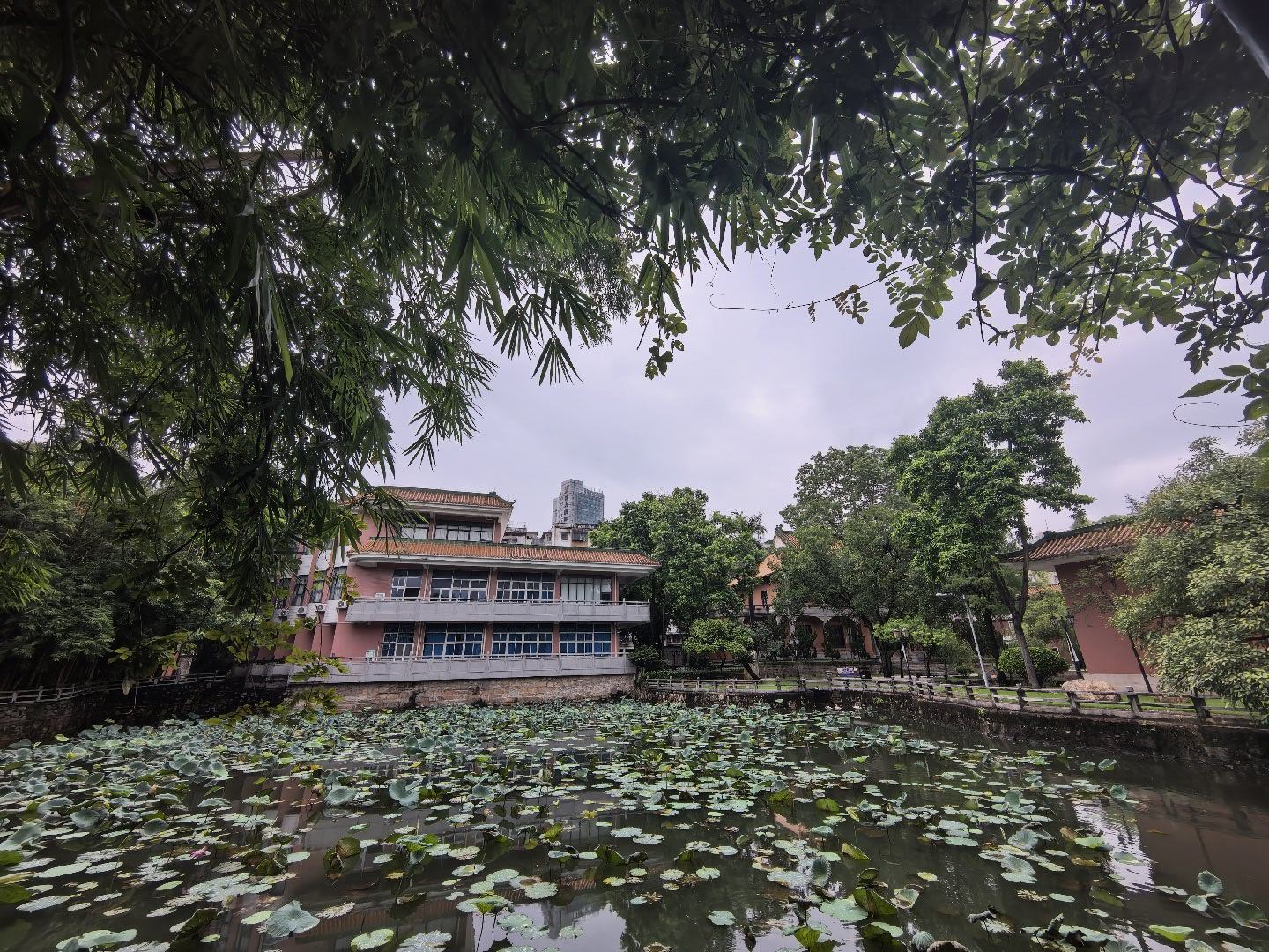 正式进入第三十个学年！初心不改，努力还在。早晨老友记！[憨笑][爱心][呲牙] 