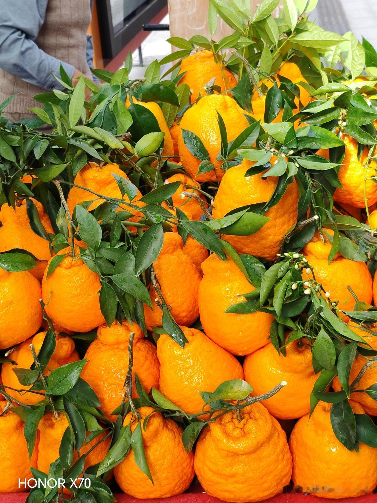 还有一个叫田佳良（洁洁良）的人，她在辽宁师范大学上学期间，表现优异担任学生会干部