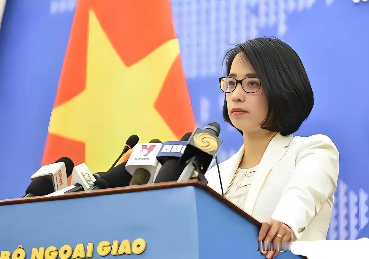 这下热闹了！太平岛一声炮响，越南第一个蹦出来叫阵——问题是，太平岛台湾驻守七十年