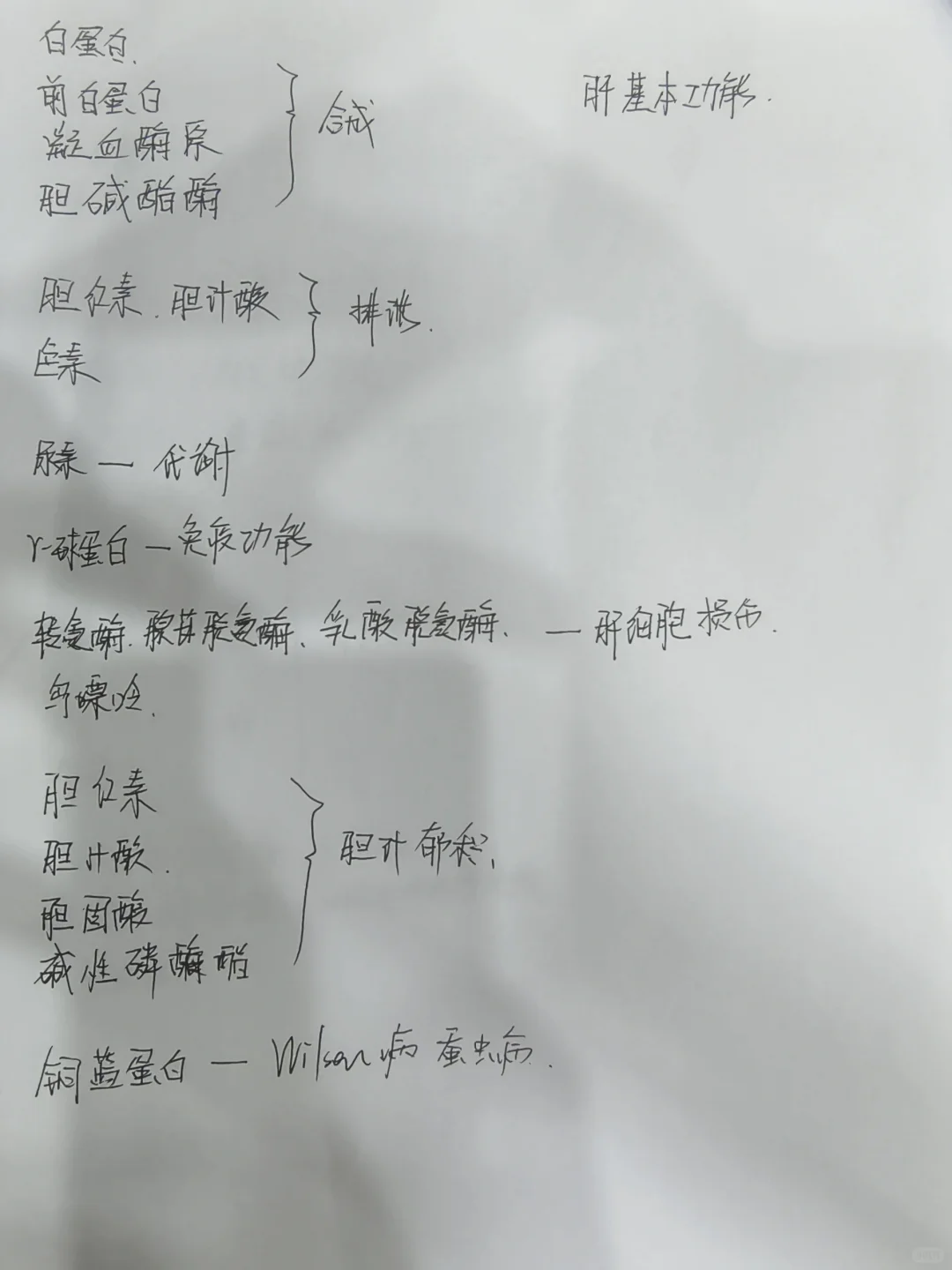 肝基本功能