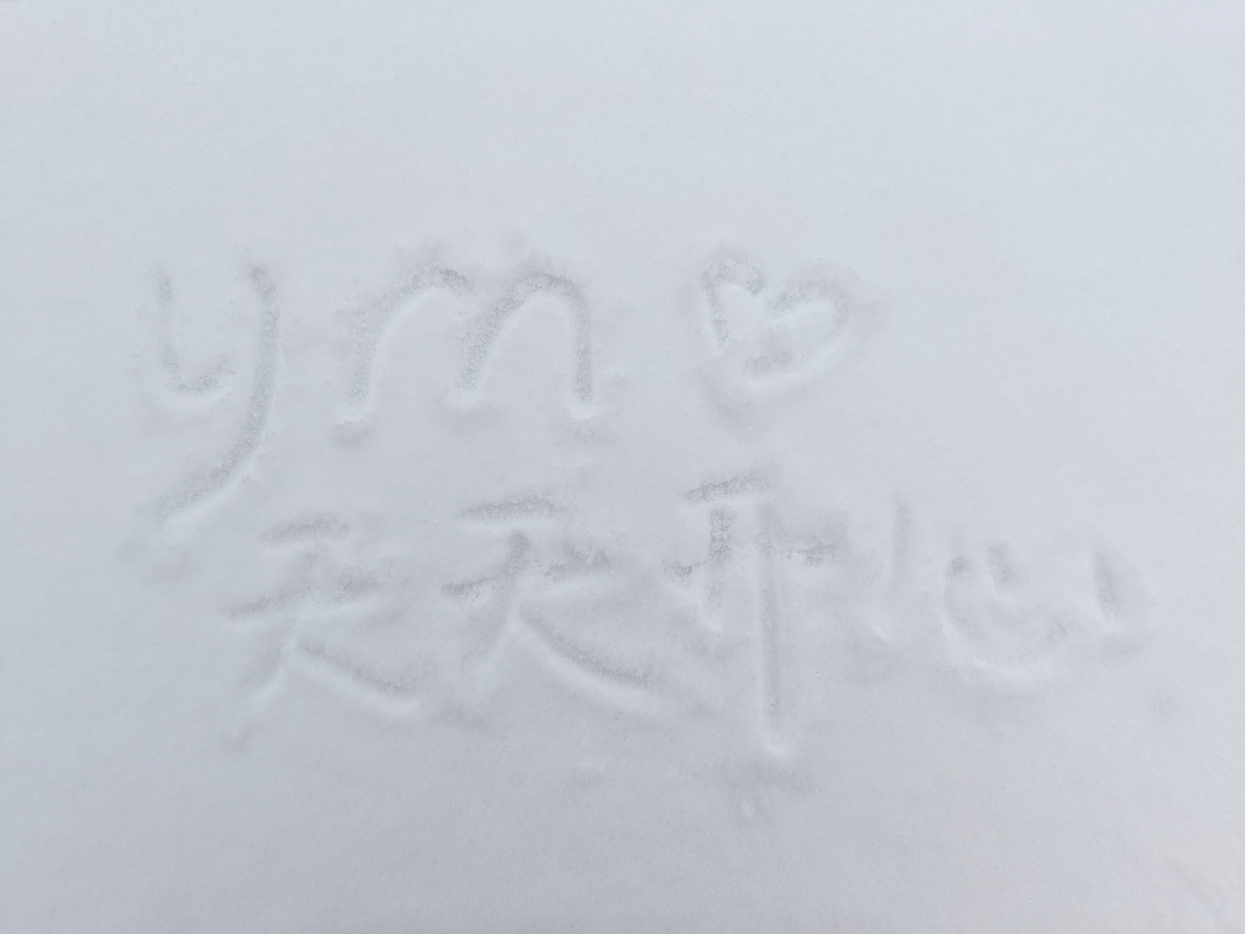 今年的第一场大雪❄️❄️❄️ 