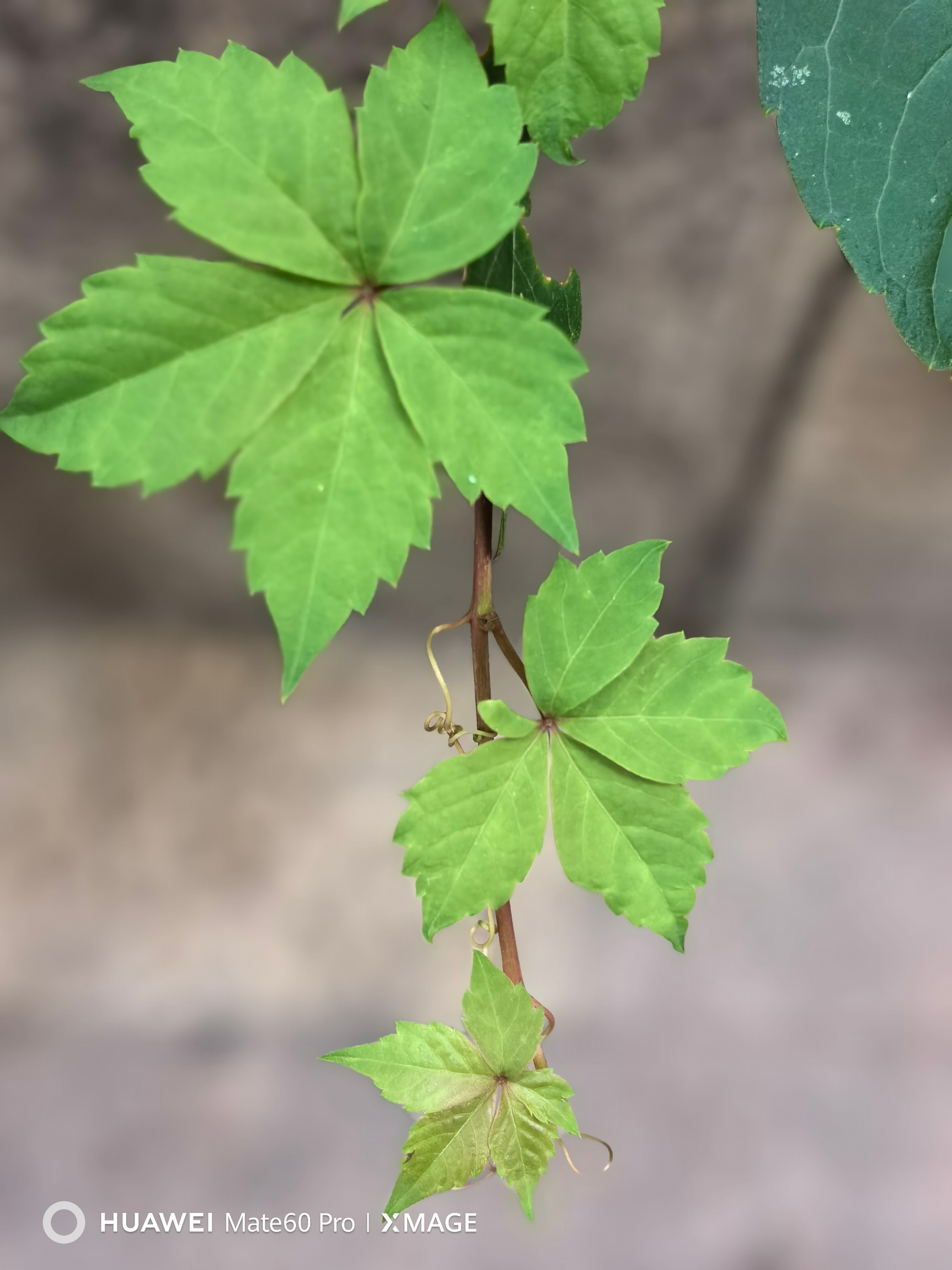 安宁的晚上。 ​​​