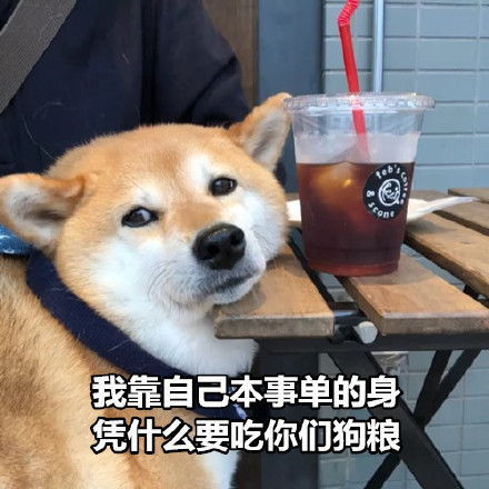 表情包  小狗表情包来一波 