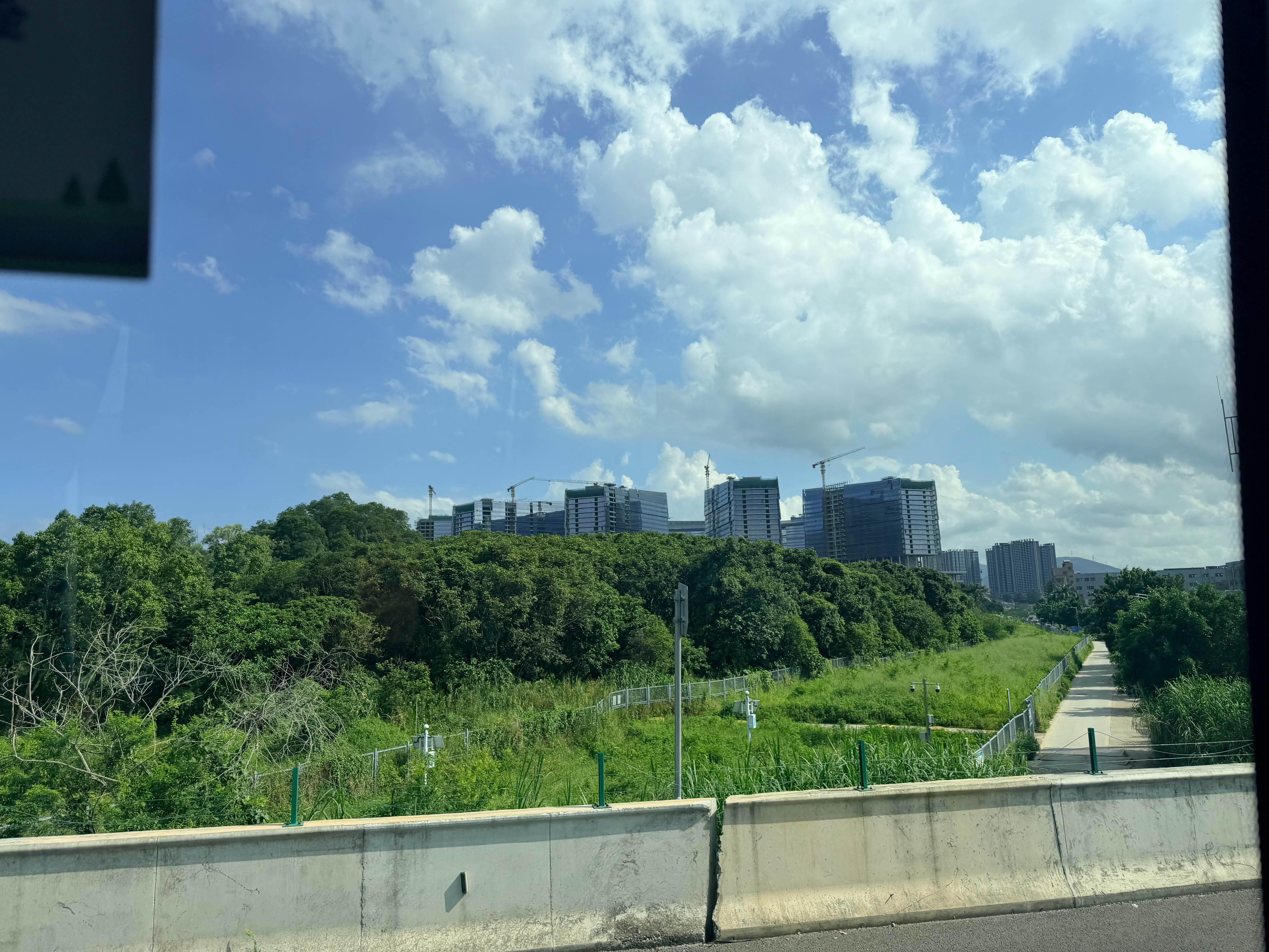 兄弟们，猜一猜我拍到什么了 深圳·三棵松水库