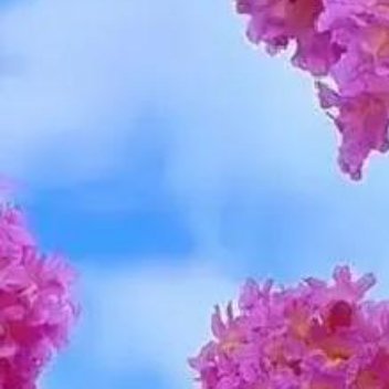 正能量笑在生活，美在善良，乐在知足，福在健康， 不谈过往，只说未来，盼美好如期而