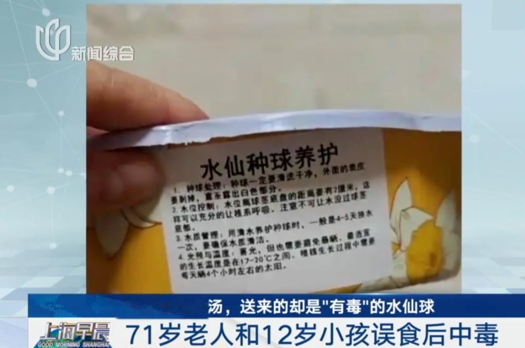 误送的水仙球包装