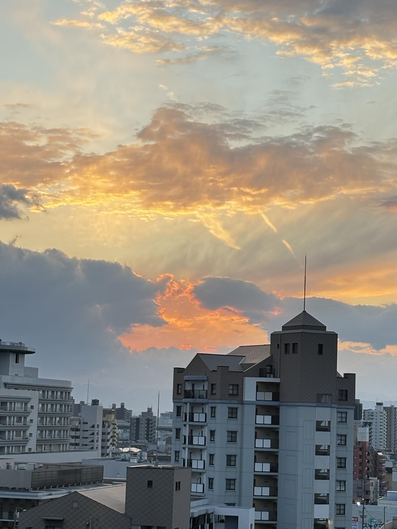 今日分享随手拍照片城市黄昏，云霞映照，红叶点缀，高楼林立，云层低垂，宁静而美丽。