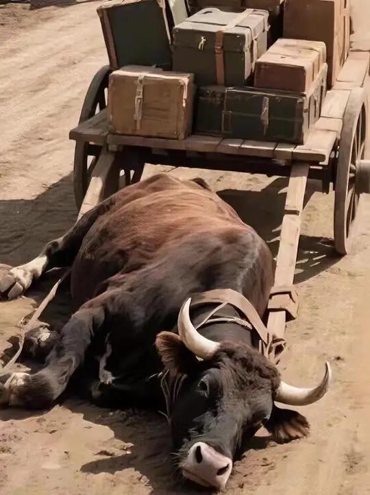 【看到官媒发布这组反差数据，我就揪心】

一边是在“国民收入初次分配中，我国劳动