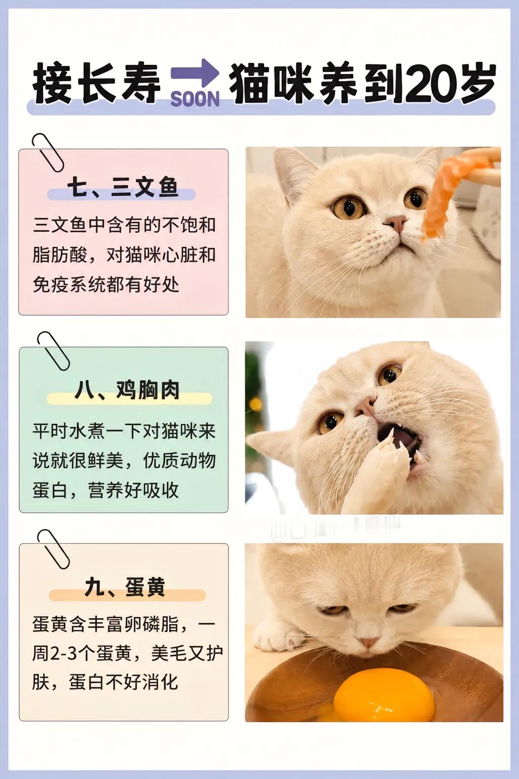 我家两只猫都不吃西瓜，是因为太爱喝水了吗